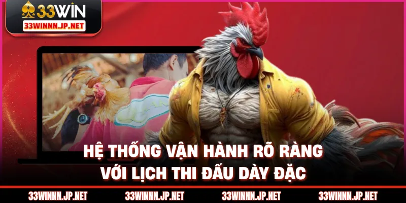 Hệ thống vận hành rõ ràng với lịch thi đấu dày đặc
