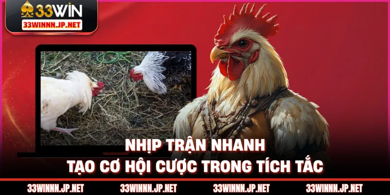 Nhịp trận nhanh tạo cơ hội cược trong tích tắc